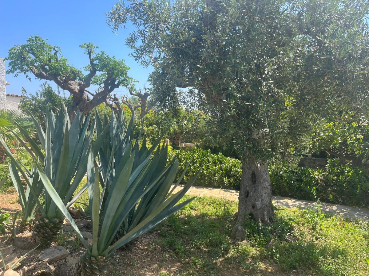 Nespolilla Βίλα Petrosino Εξωτερικό φωτογραφία